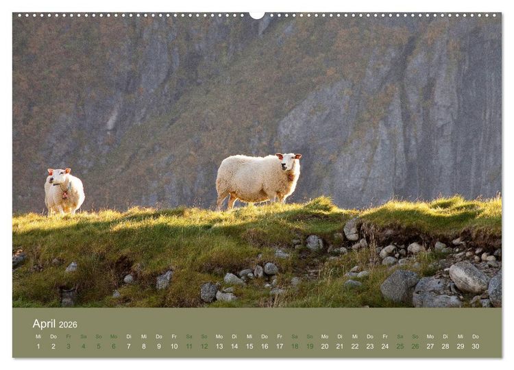 Produktbild: Unter Schafen - Wegbegleiter auf Reisen (hochwertiger Premium Wandkalender 2026 DIN A2 quer), Kunstdruck in Hochglanz