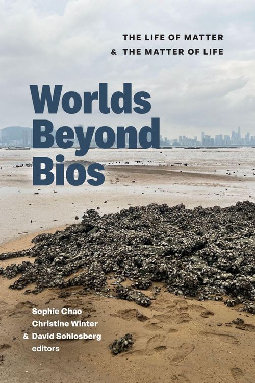 Produktbild: Worlds Beyond Bios
