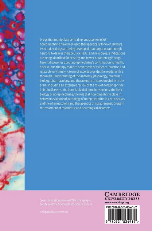 Produktbild: Brain Norepinephrine