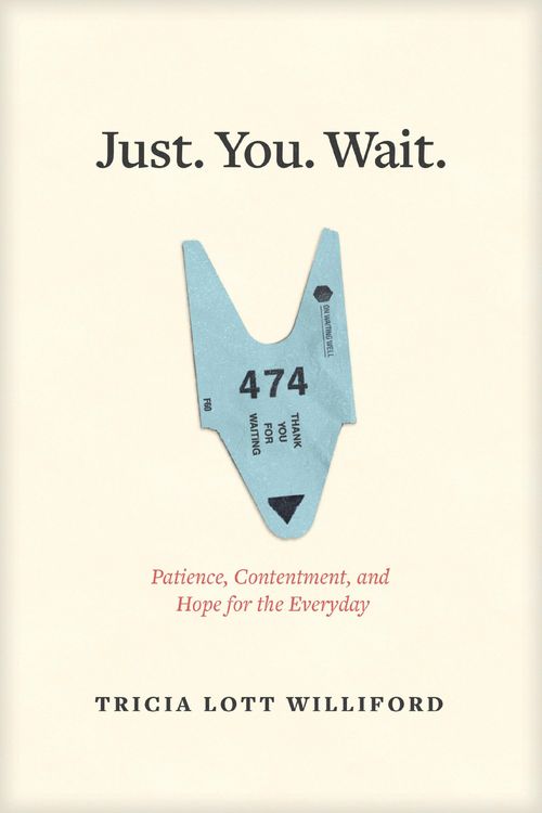 Produktbild: Just. You. Wait.