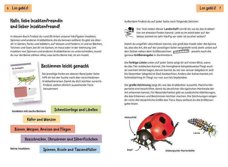 Produktbild: KOSMOS Was krabbelt denn da? Naturf&uuml;hrer f&uuml;r Kinder ab 8 Jahren