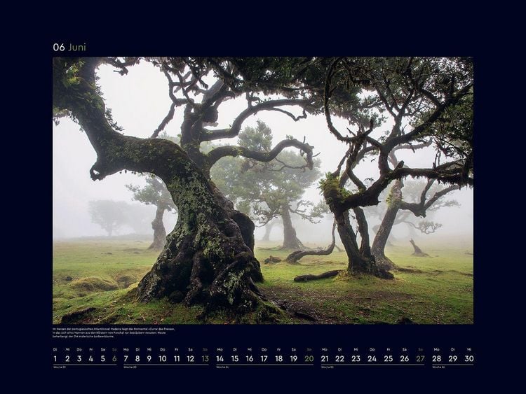 Produktbild: Magische W&auml;lder der Erde - KUNTH Wandkalender 2027