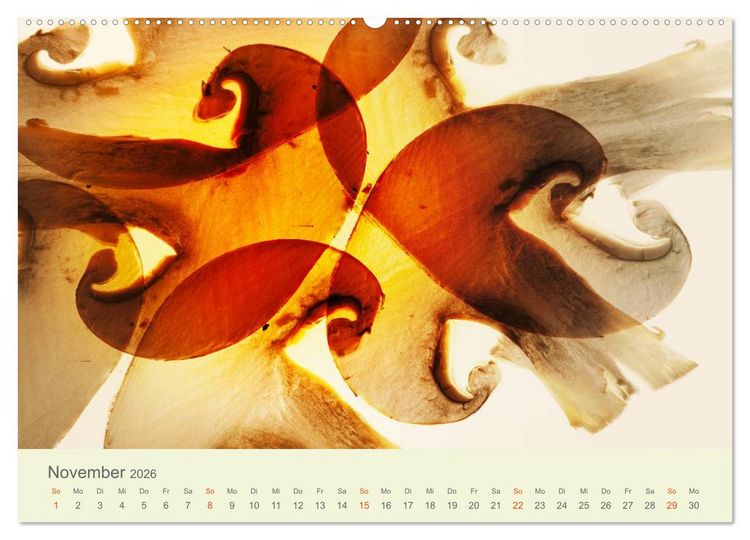 Produktbild: Lichtzauber (Wandkalender 2026 DIN A2 quer), CALVENDO Monatskalender