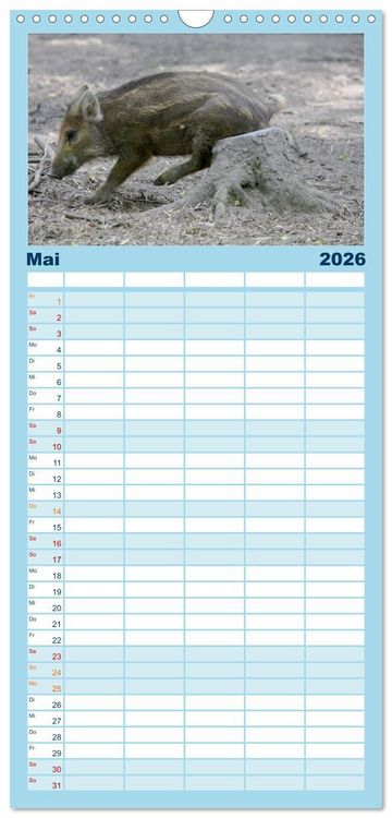 Produktbild: Familienplaner 2026 - Tierische Schweinerei mit 5 Spalten (Wandkalender, 21 x 45 cm) CALVENDO