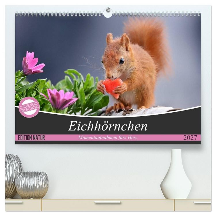 Produktbild: Eichh&ouml;rnchen Momentaufnahmen f&uuml;rs Herz (hochwertiger Premium Wandkalender 2027 DIN A2 quer), Kunstdruck in Hochglanz