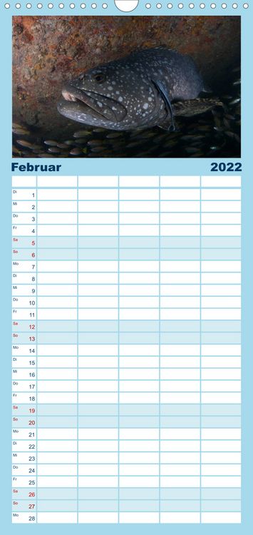 Produktbild: Tauchen, Fische und Meer - Familienplaner hoch (Wandkalender 2022 , 21 cm x 45 cm, hoch)