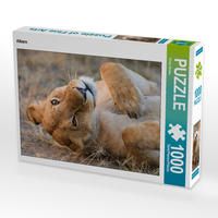 Produktbild: CALVENDO Puzzle Albern 1000 Teile Lege-Gr&ouml;&szlig;e 64 x 48 cm Foto-Puzzle Bild von Elmar Weiss
