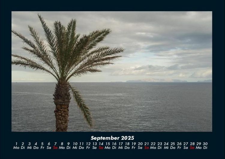 Produktbild: Palmentraum 2025 Fotokalender DIN A4