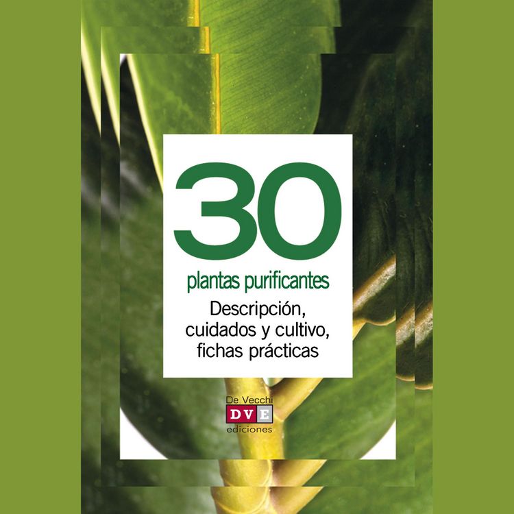 Produktbild: 30 plantas purificantes