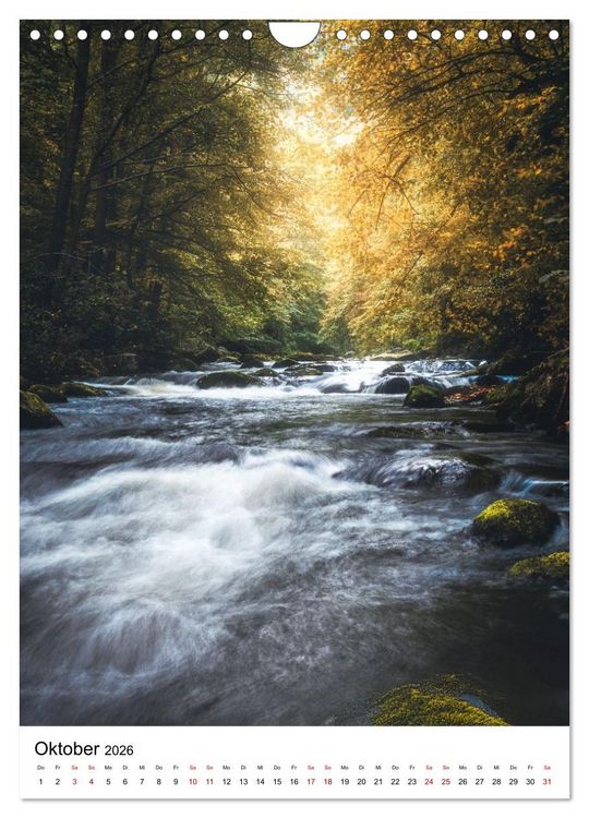Produktbild: Mystischer Harz - Zwischen Licht und Schatten (Wandkalender 2026 DIN A4 hoch), CALVENDO Monatskalender