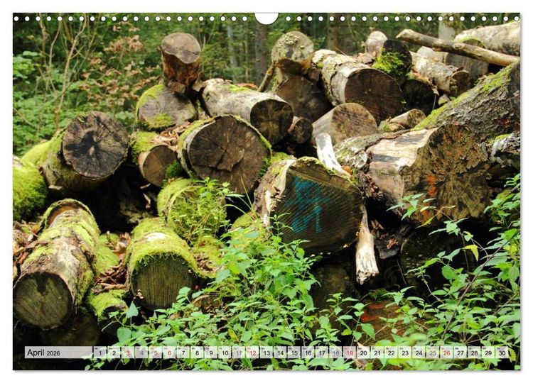 Produktbild: HOLZ - Stapel und St&auml;mme (Wandkalender 2026 DIN A3 quer), CALVENDO Monatskalender