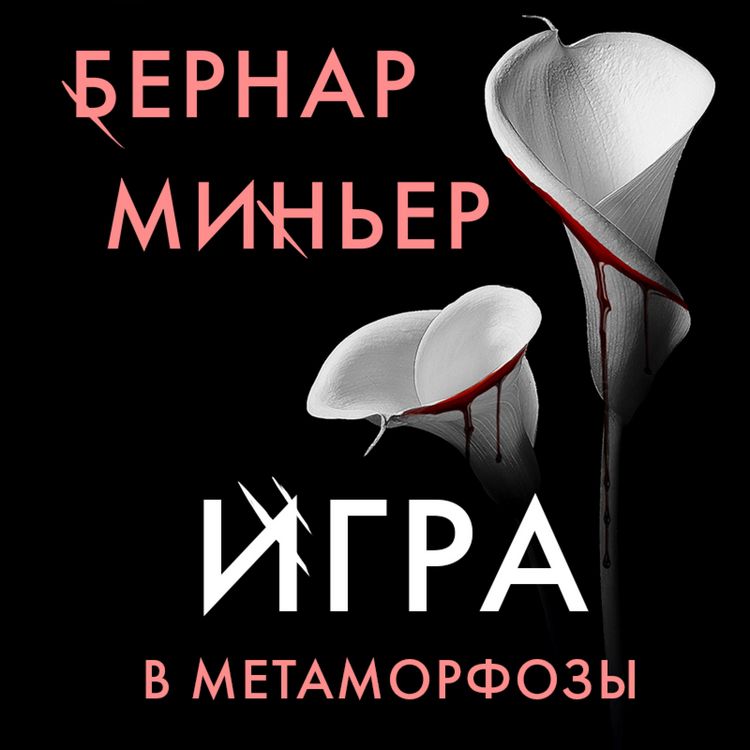 Produktbild: Igra v metamorfozy
