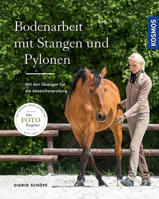 Produktbild: Bodenarbeit mit Stangen und Pylonen