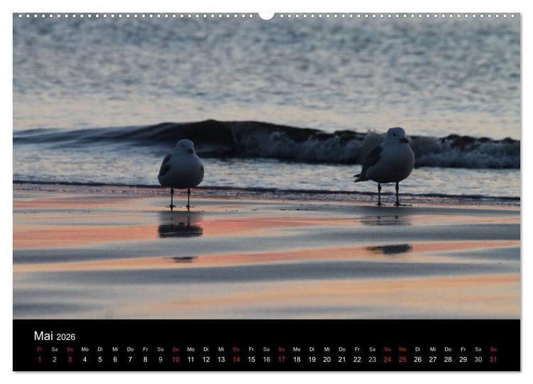 Produktbild: Sylt 2026 (hochwertiger Premium Wandkalender 2026 DIN A2 quer), Kunstdruck in Hochglanz