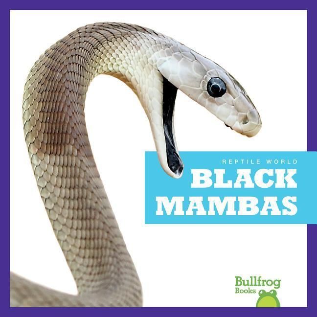 Produktbild: Black Mambas