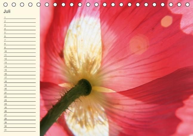 Produktbild: Geburtstagskalender "Nette Kleinigkeiten" (Tischkalender immerw&auml;hrend DIN A5 quer)