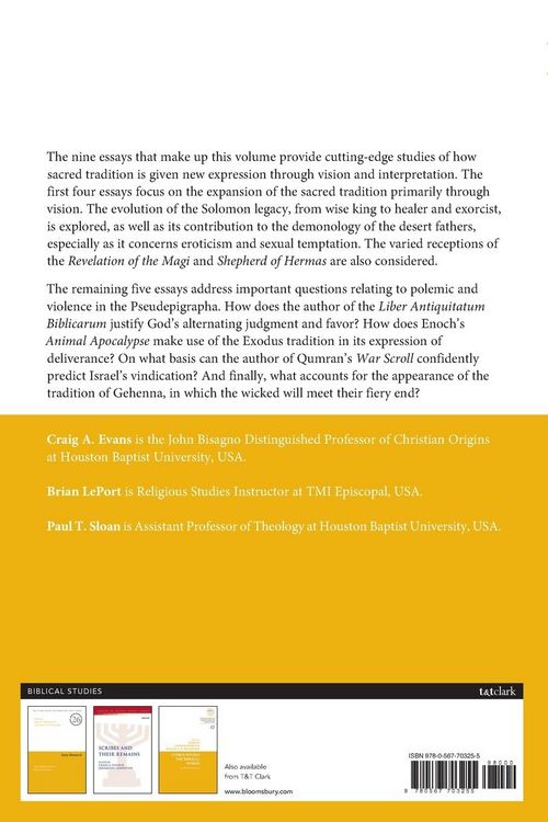 Produktbild: Visions and Violence in the Pseudepigrapha