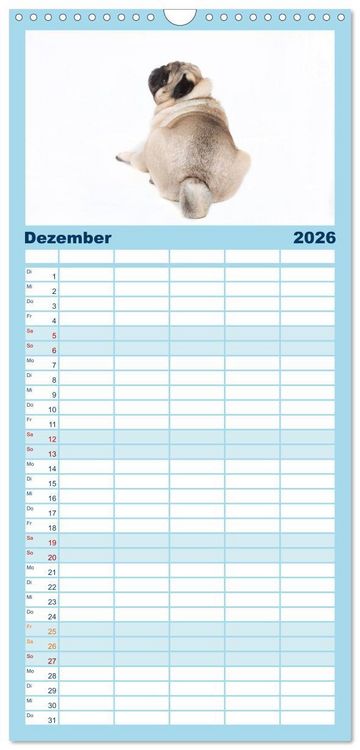 Produktbild: Familienplaner 2026 - Mops - unwiderstehlich und charmant mit 5 Spalten (Wandkalender, 21 x 45 cm) CALVENDO