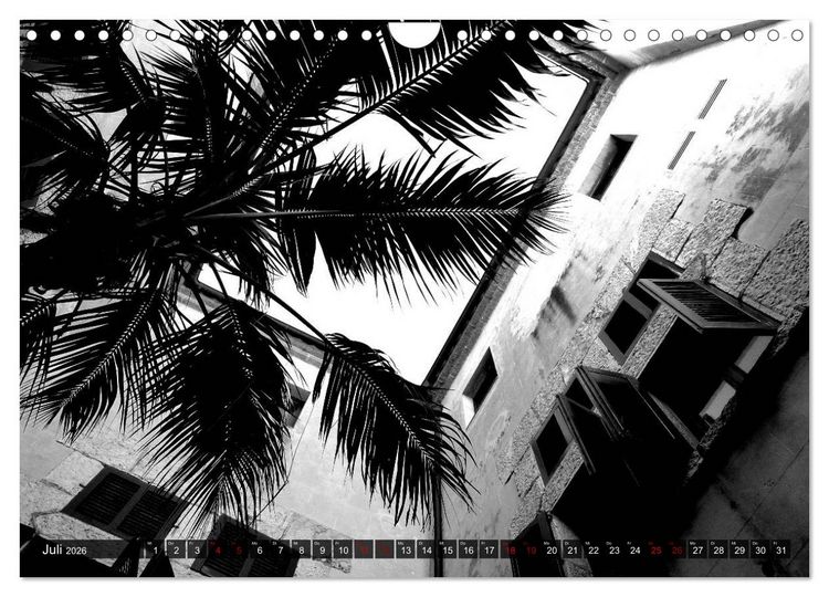Produktbild: Mallorca monochrom (Wandkalender 2026 DIN A4 quer), CALVENDO Monatskalender
