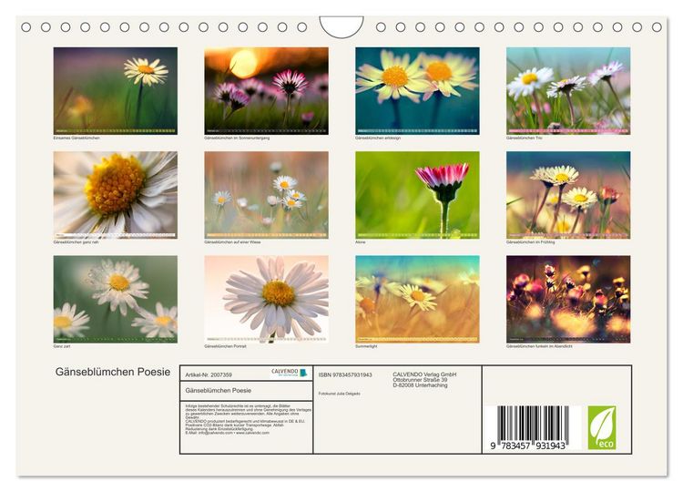 Produktbild: G&auml;nsebl&uuml;mchen Poesie (Wandkalender 2026 DIN A4 quer), CALVENDO Monatskalender