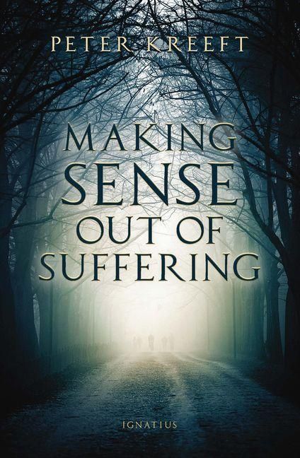 Produktbild: Making Sense Out of Suffering