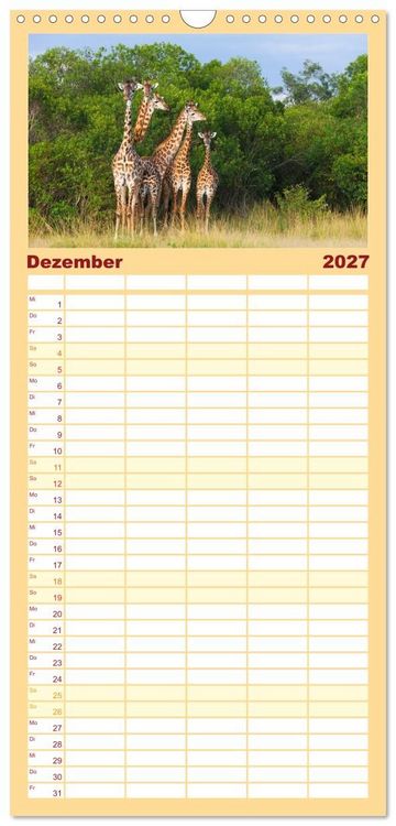 Produktbild: Familienplaner 2027 - Afrika Wildlife-Fotografien mit 5 Spalten (Wandkalender, 21 x 45 cm) CALVENDO