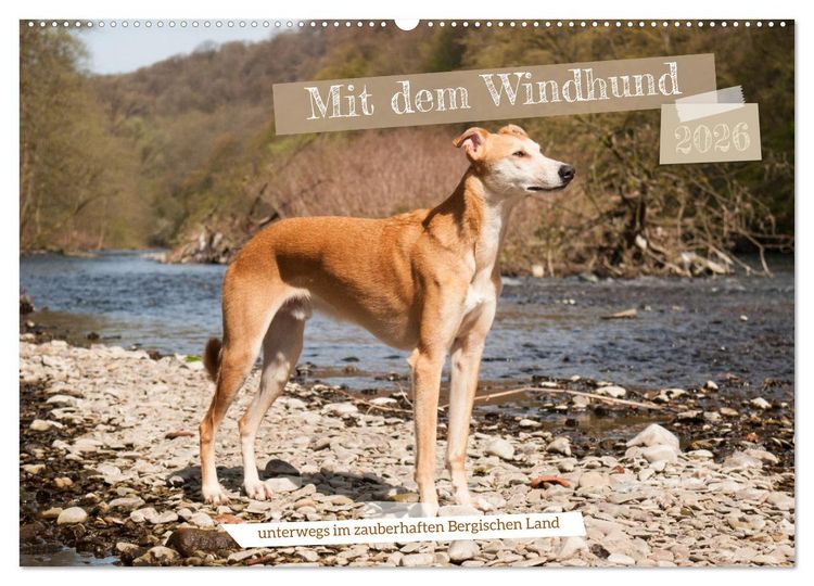 Produktbild: Mit dem Windhund unterwegs im zauberhaften Bergischen Land (Wandkalender 2026 DIN A2 quer), CALVENDO Monatskalender