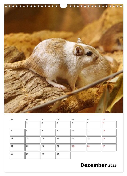 Produktbild: Lustige Rennm&auml;use (Wandkalender 2026 DIN A3 hoch), CALVENDO Monatskalender