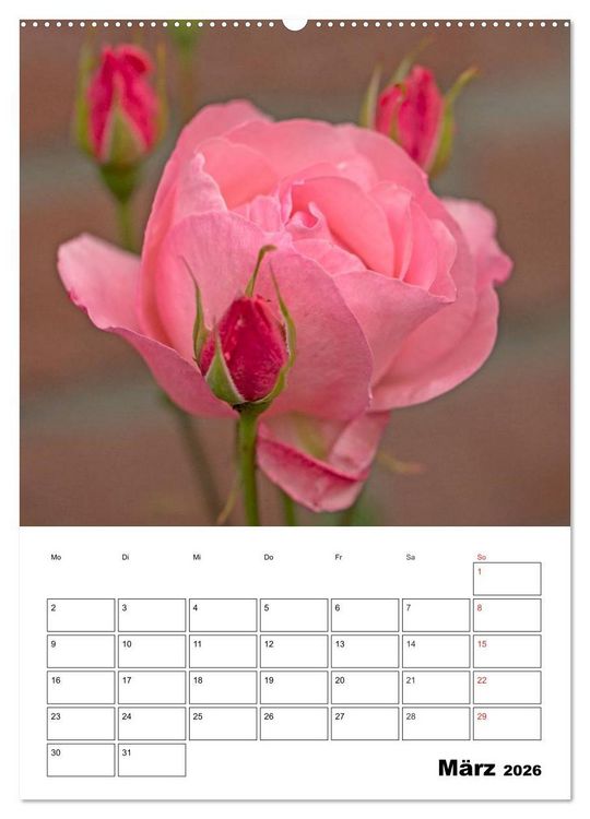 Produktbild: Zauberhafte Rosen (hochwertiger Premium Wandkalender 2026 DIN A2 hoch), Kunstdruck in Hochglanz