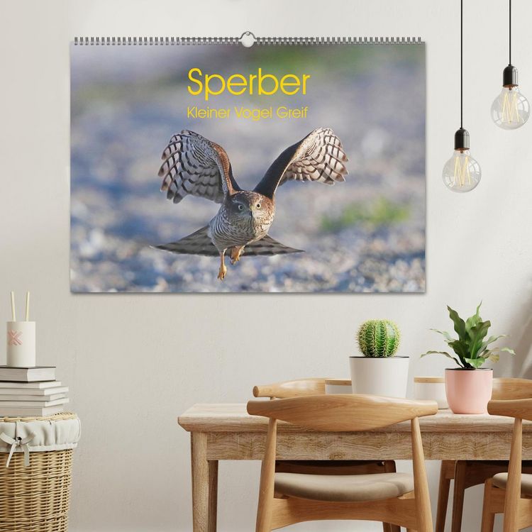 Produktbild: Sperber - Kleiner Vogel Greif (Wandkalender 2026 DIN A2 quer), CALVENDO Monatskalender