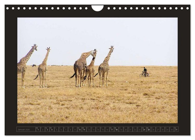 Produktbild: Kenia (Wandkalender 2026 DIN A4 quer), CALVENDO Monatskalender