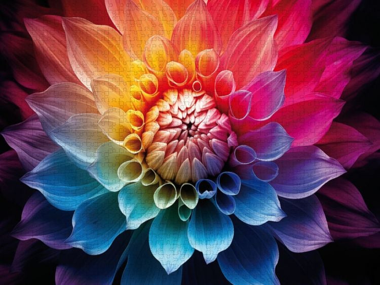 Produktbild: CALVENDO Puzzle Regenbogen | 1000 Teile Lege-Gr&ouml;&szlig;e 64x48cm Foto-Puzzle f&uuml;r gl&uuml;ckliche Stunden