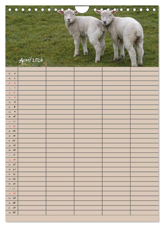 Produktbild: Der bel&auml;mmerte Familienplaner (Wandkalender 2026 DIN A4 hoch), CALVENDO Monatskalender