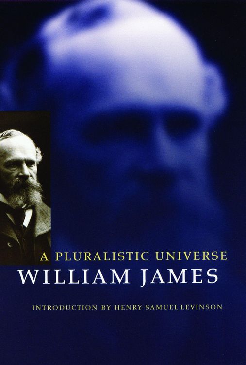Produktbild: A Pluralistic Universe