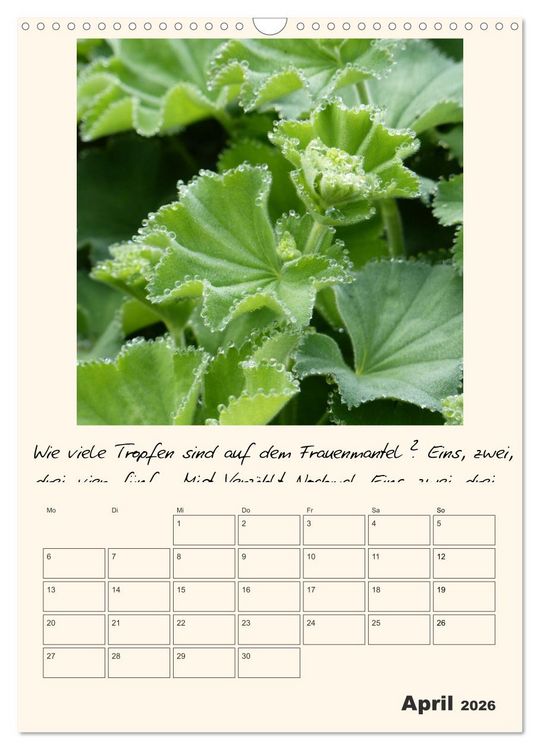 Produktbild: Gartengeschichten (Wandkalender 2026 DIN A3 hoch), CALVENDO Monatskalender