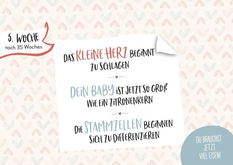 Produktbild: Ein kleines Wunder w&auml;chst heran.