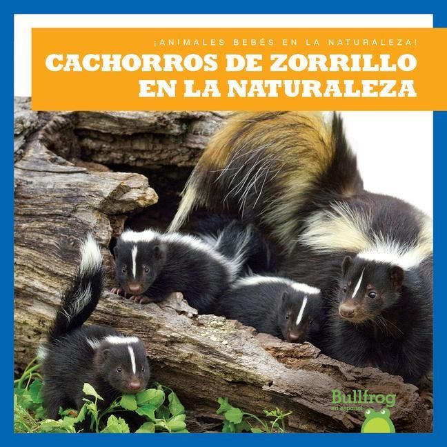 Produktbild: Cachorros de Zorrillo En La Naturaleza (Skunk Kits in the Wild)
