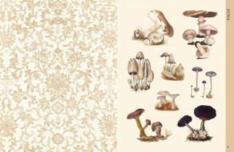 Produktbild: Botanical Art to Cut out and Collage