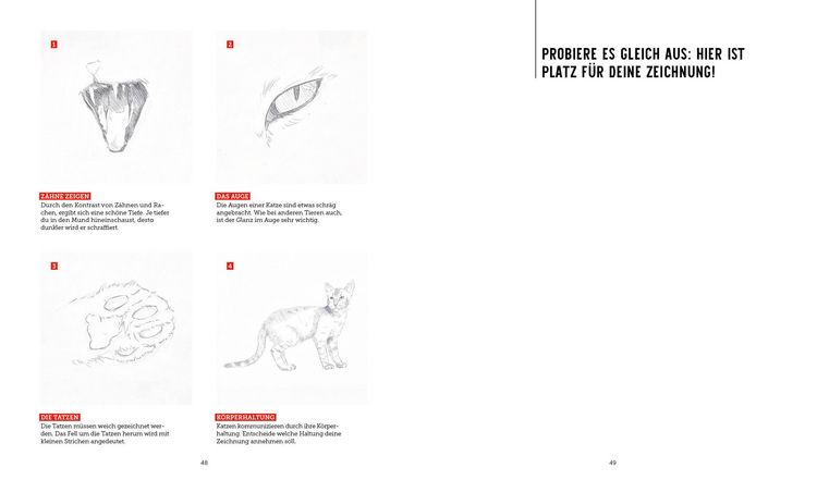 Produktbild: Tiere zeichnen &ndash; Das XXL-Starter-Set: Zwei B&uuml;cher im Bundle