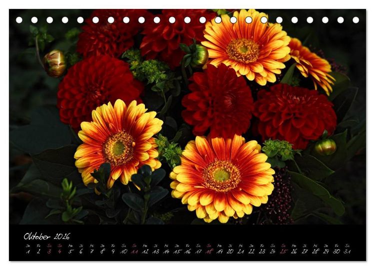 Produktbild: Florales Sonett - Visuelle Musik der Blumen (Tischkalender 2026 DIN A5 quer), CALVENDO Monatskalender