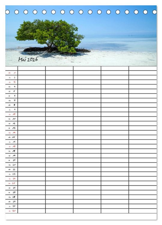 Produktbild: Idyllisches Florida / Familienplaner (Tischkalender 2026 DIN A5 hoch), CALVENDO Monatskalender