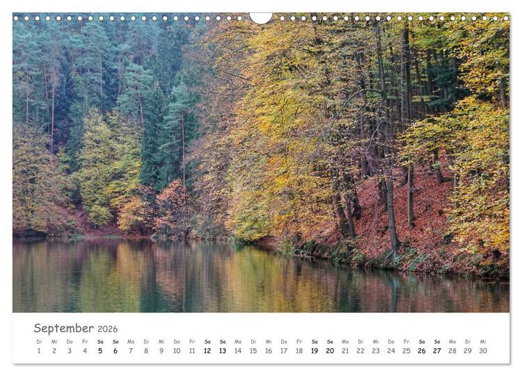 Produktbild: Wald - bezaubernde W&auml;lder (Wandkalender 2026 DIN A3 quer), CALVENDO Monatskalender