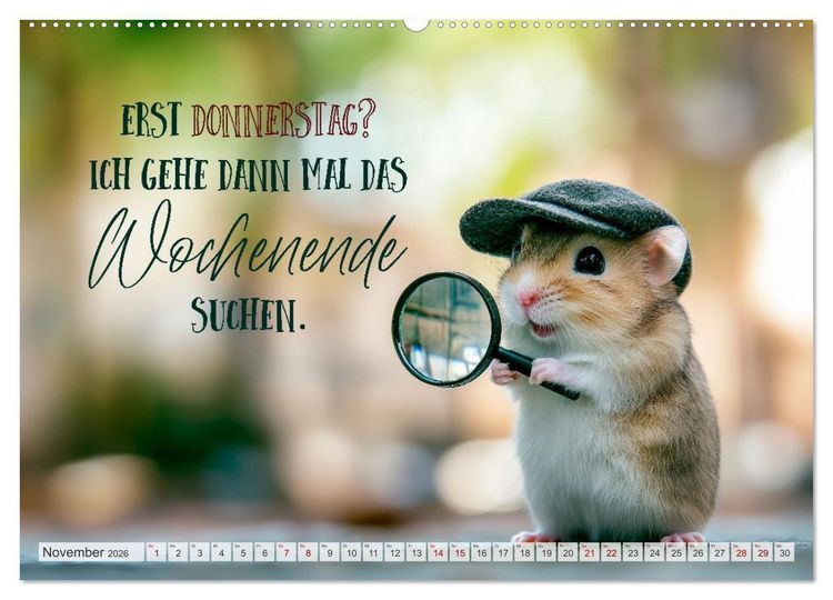 Produktbild: Hamsterhumor - Kleine Zuckerschnute, aber oho (hochwertiger Premium Wandkalender 2026 DIN A2 quer), Kunstdruck in Hochglanz