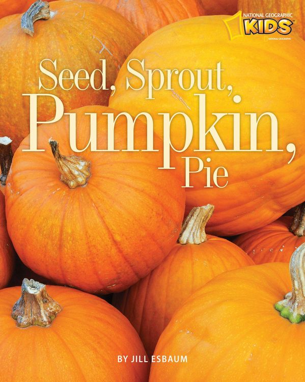 Produktbild: Seed, Sprout, Pumpkin, Pie