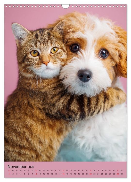 Produktbild: Freundschaftskalender - Katzen und Hunde, beste Freunde in Umarmung (Wandkalender 2026 DIN A3 hoch), CALVENDO Monatskalender