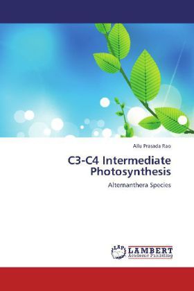 Produktbild: Prasada Rao, A: C3-C4 Intermediate Photosynthesis