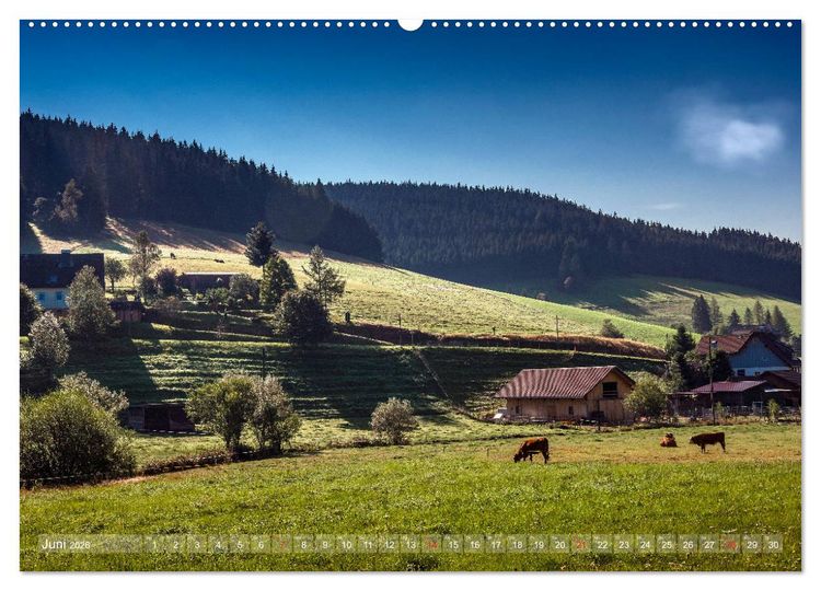 Produktbild: Schwarzwald (hochwertiger Premium Wandkalender 2026 DIN A2 quer), Kunstdruck in Hochglanz