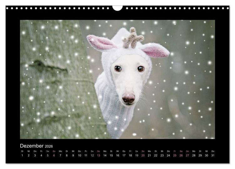 Produktbild: Windhund bunt (Wandkalender 2026 DIN A3 quer), CALVENDO Monatskalender