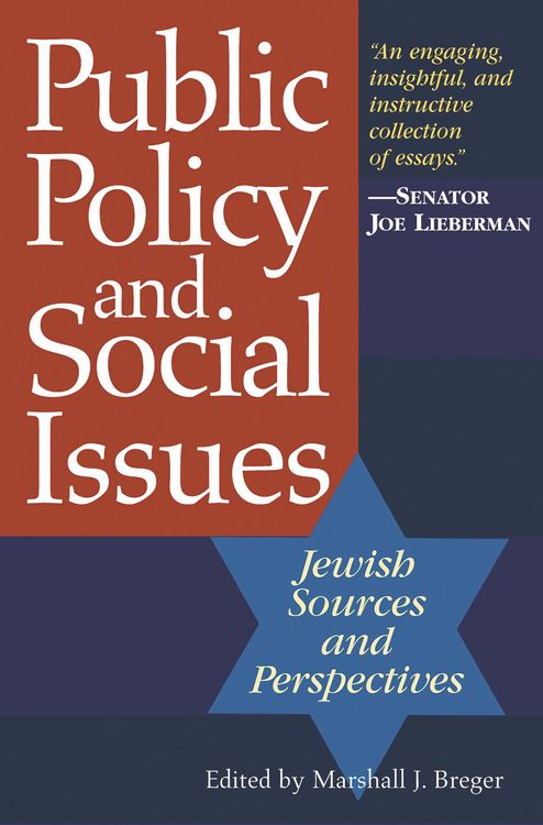 Produktbild: Public Policy and Social Issues