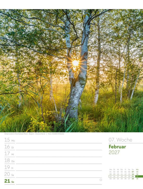 Produktbild: Unser Wald Wochenplaner Kalender 2027